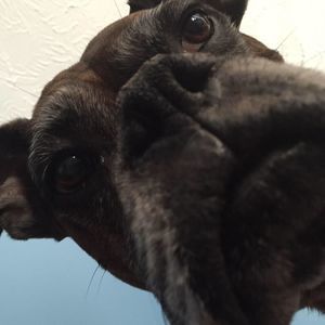 Meet your Posher, Lori